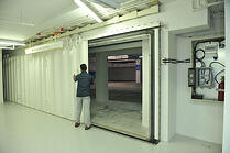 case study singapore d5b 2